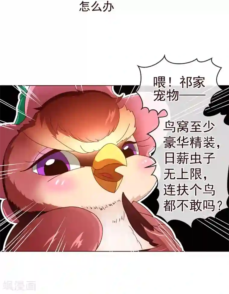 纯真总裁宠萌妻第76话 生死