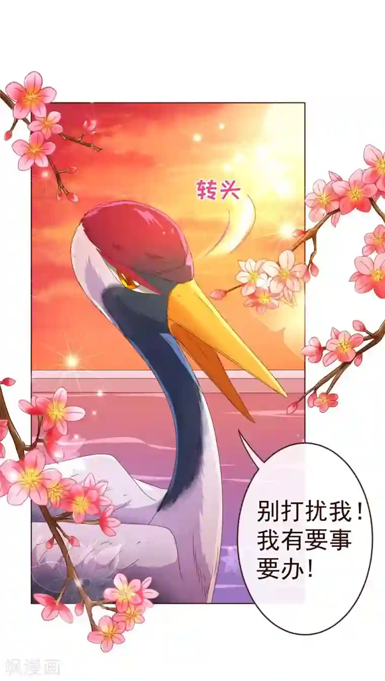 纯真总裁宠萌妻第76话 生死