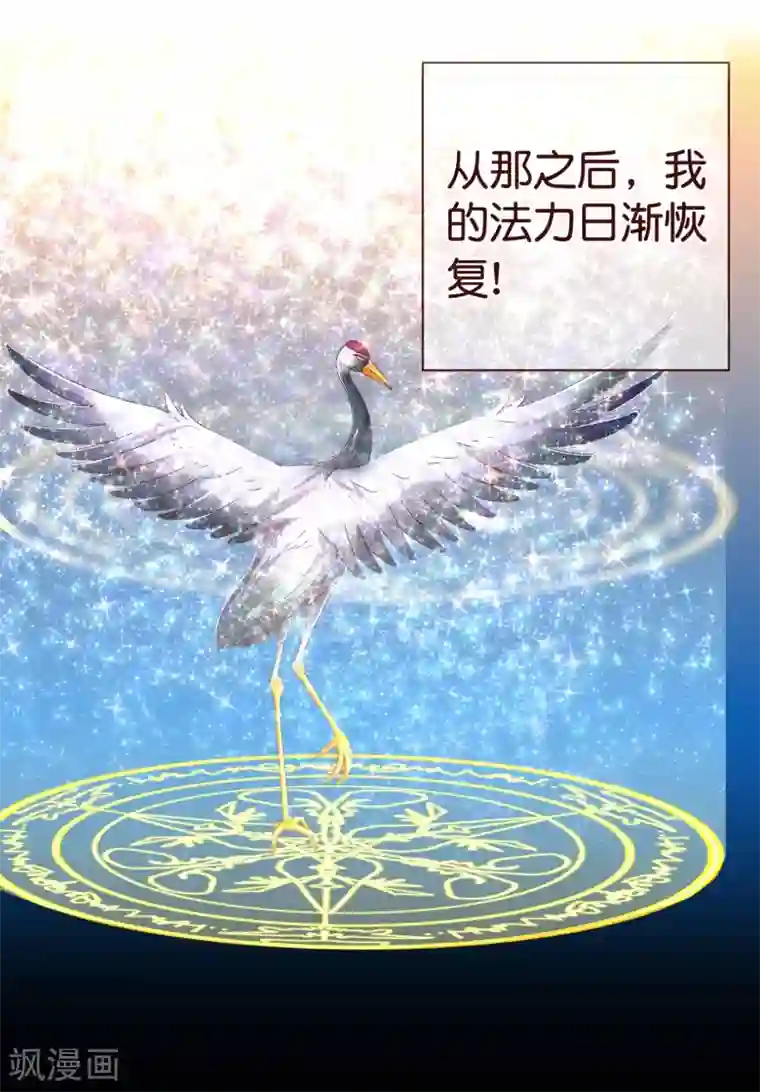 纯真总裁宠萌妻第98话 变身