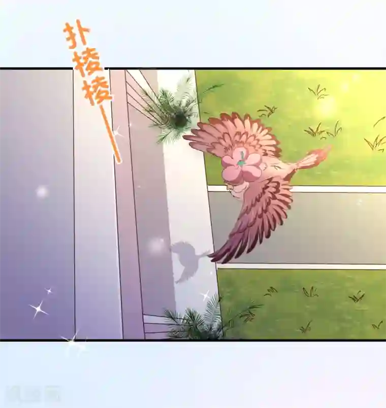 纯真总裁宠萌妻第117话 追夫