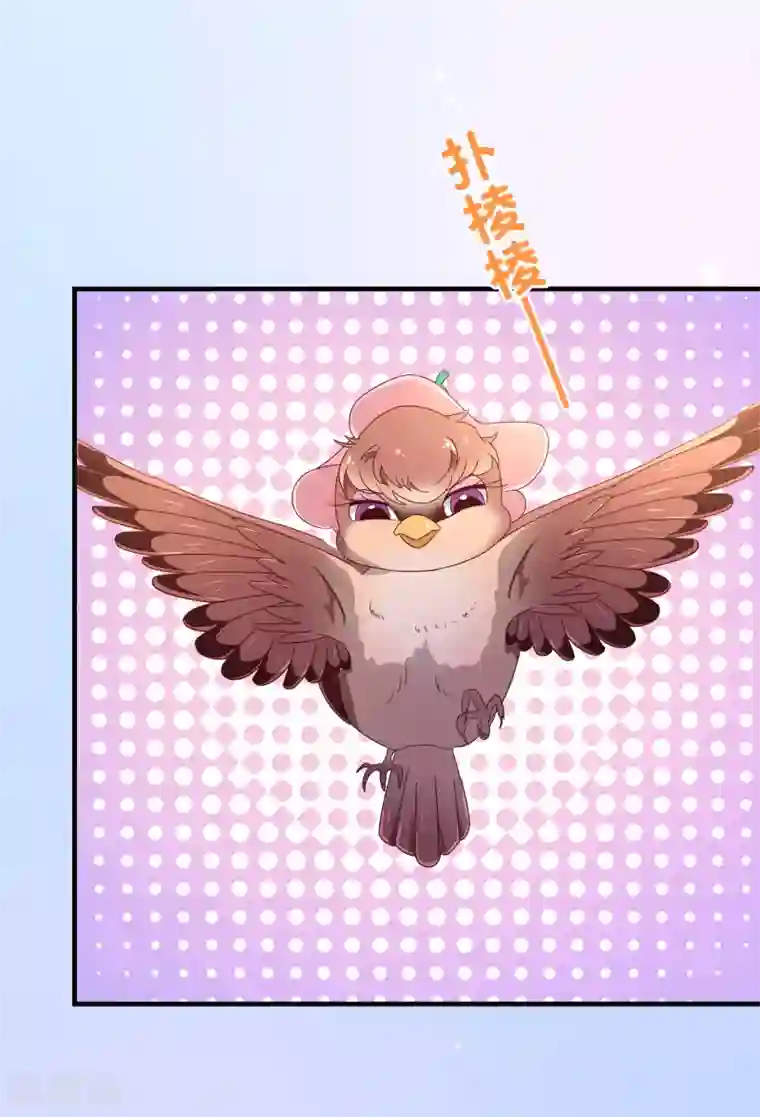 纯真总裁宠萌妻第117话 追夫