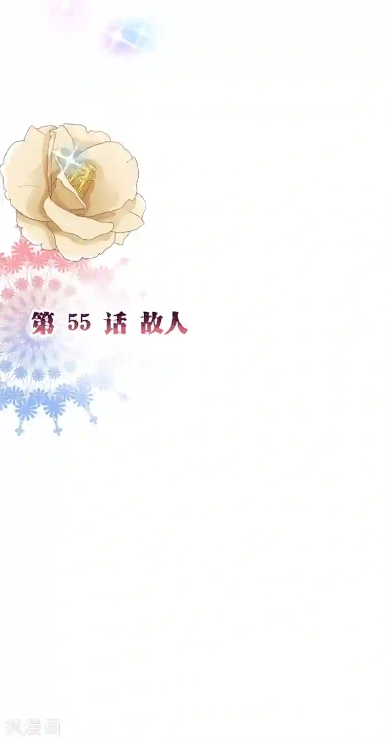 纯真总裁宠萌妻第2季55话 故人