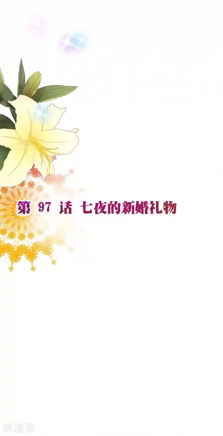 纯真总裁宠萌妻第2季97话 七夜的新婚礼物