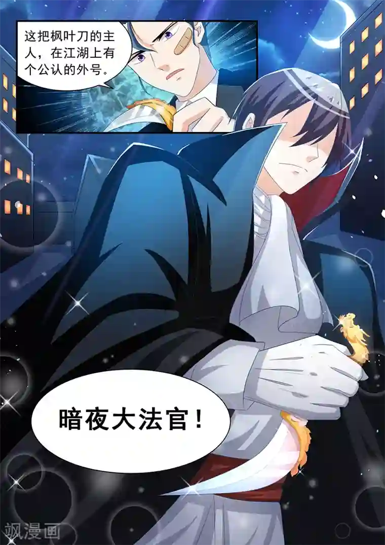 龙魂特工第20话