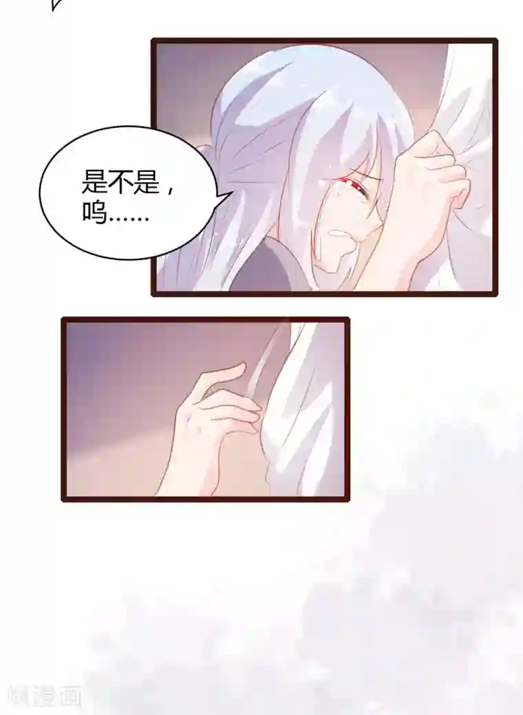 恋爱上上签第66话