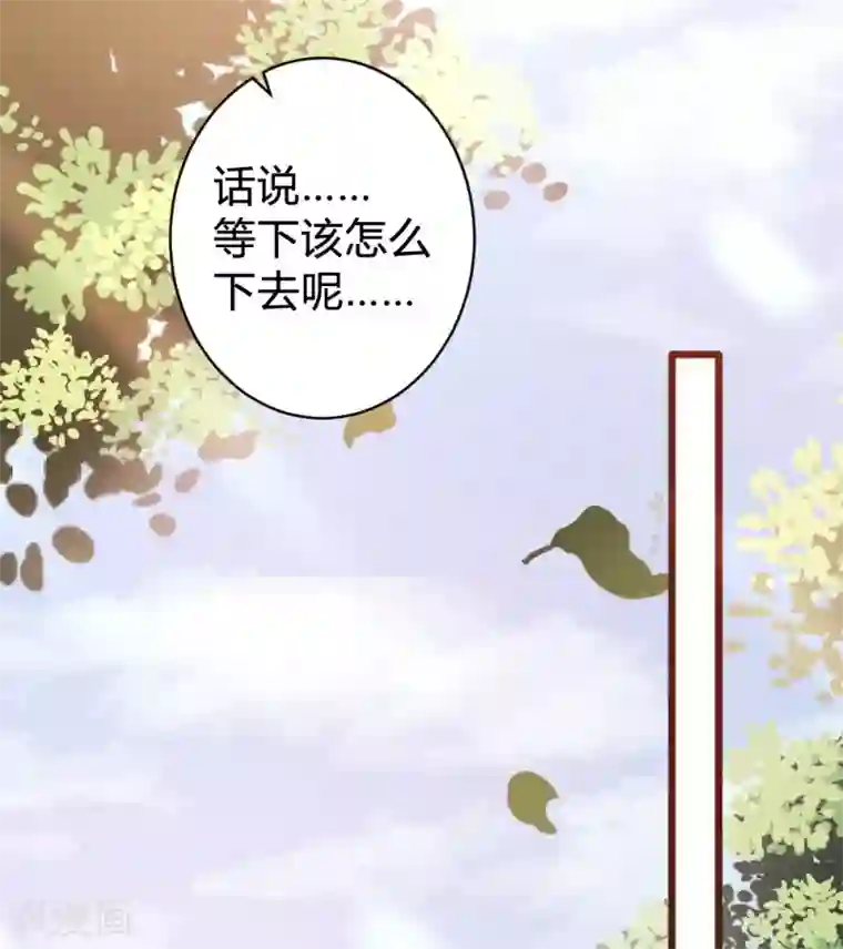 恋爱上上签第99话