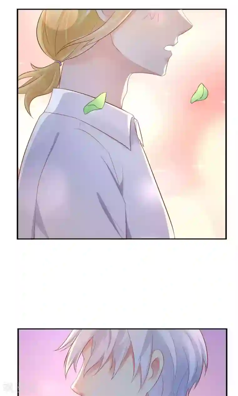 季总裁的偷心助理第1话 天啊，我看到了什么！