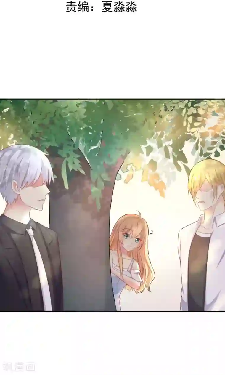 季总裁的偷心助理第2话 这场景真令人心碎