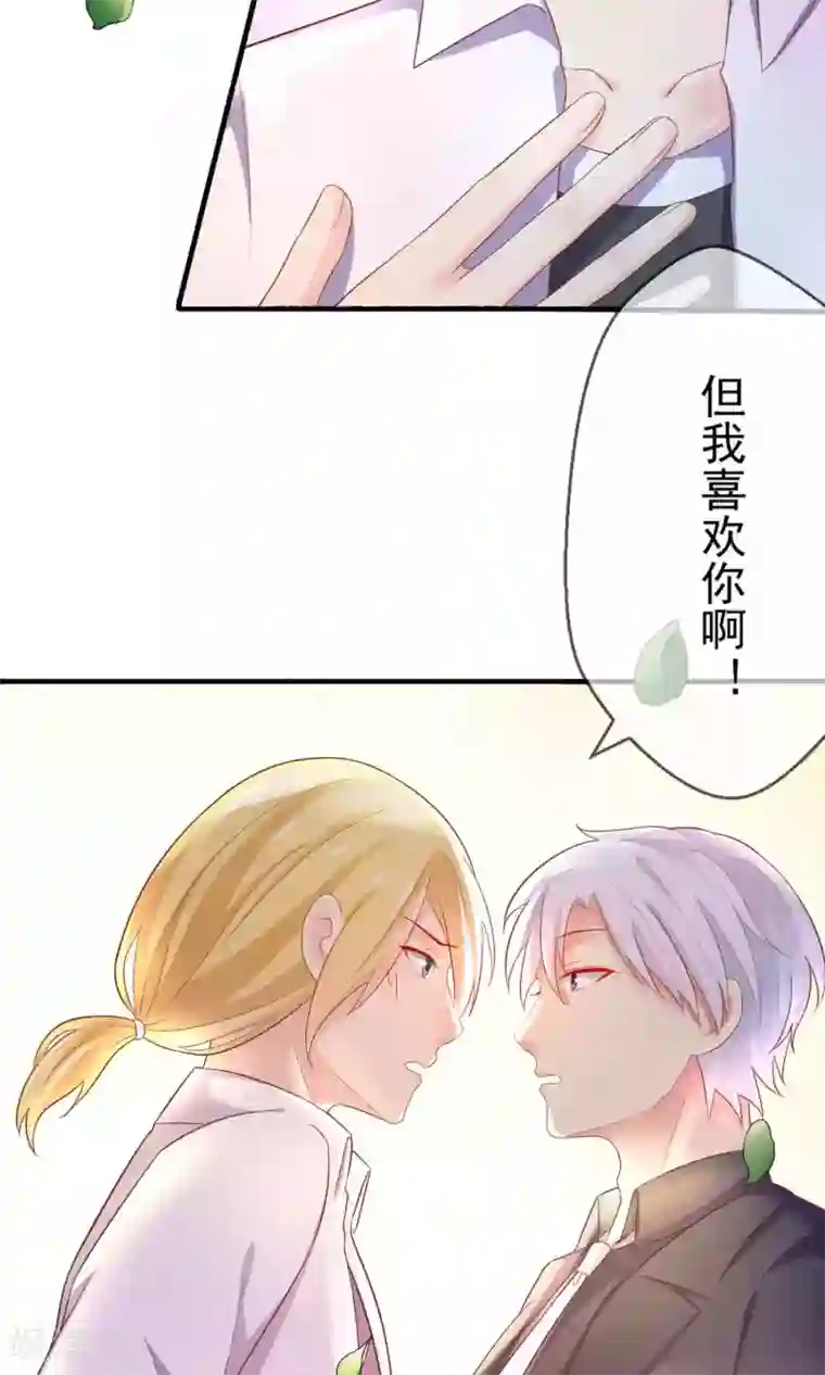 季总裁的偷心助理第2话 这场景真令人心碎