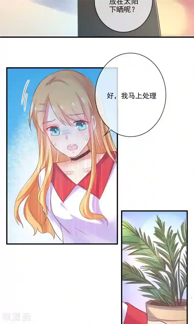 季总裁的偷心助理第11话 你这辈子有没有被这么欺负过？