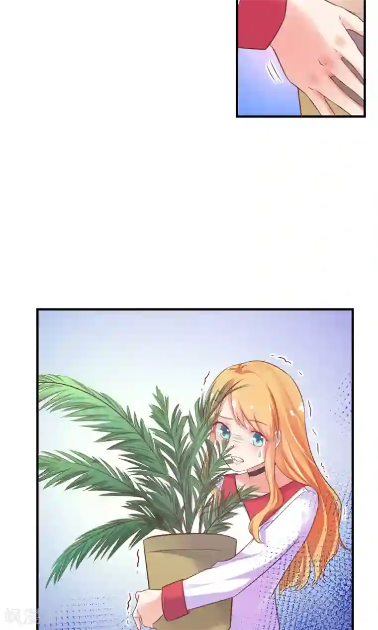 季总裁的偷心助理第11话 你这辈子有没有被这么欺负过？