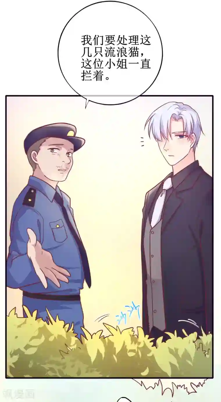 季总裁的偷心助理第21话 付出什么代价？