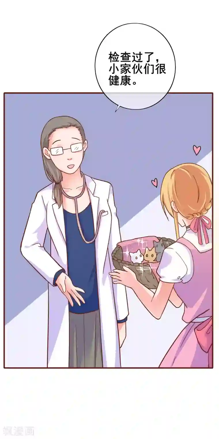 季总裁的偷心助理第24话 季总也有搞不定的事情？