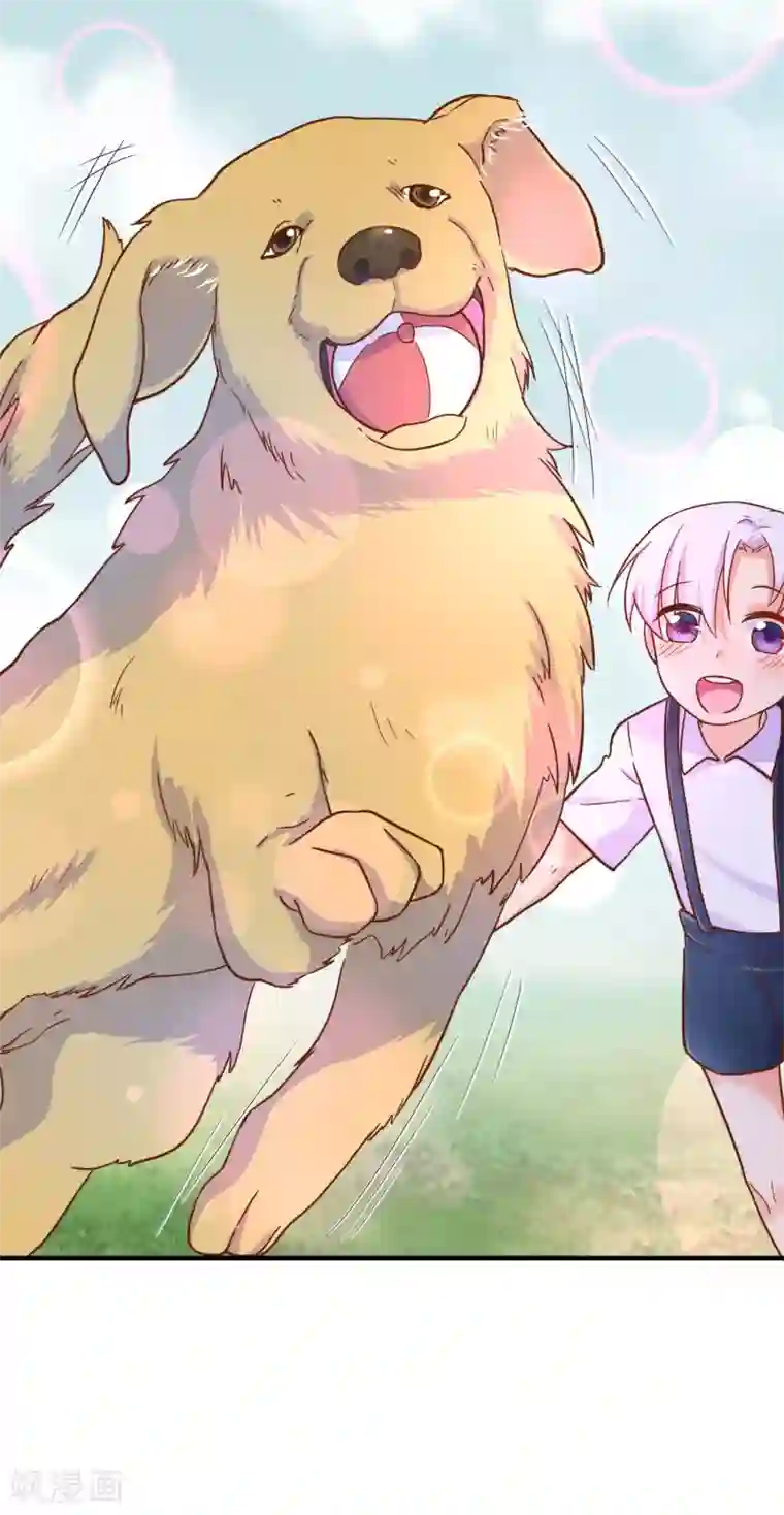 季总裁的偷心助理第25话 怎么会有人把狗狗安乐死！