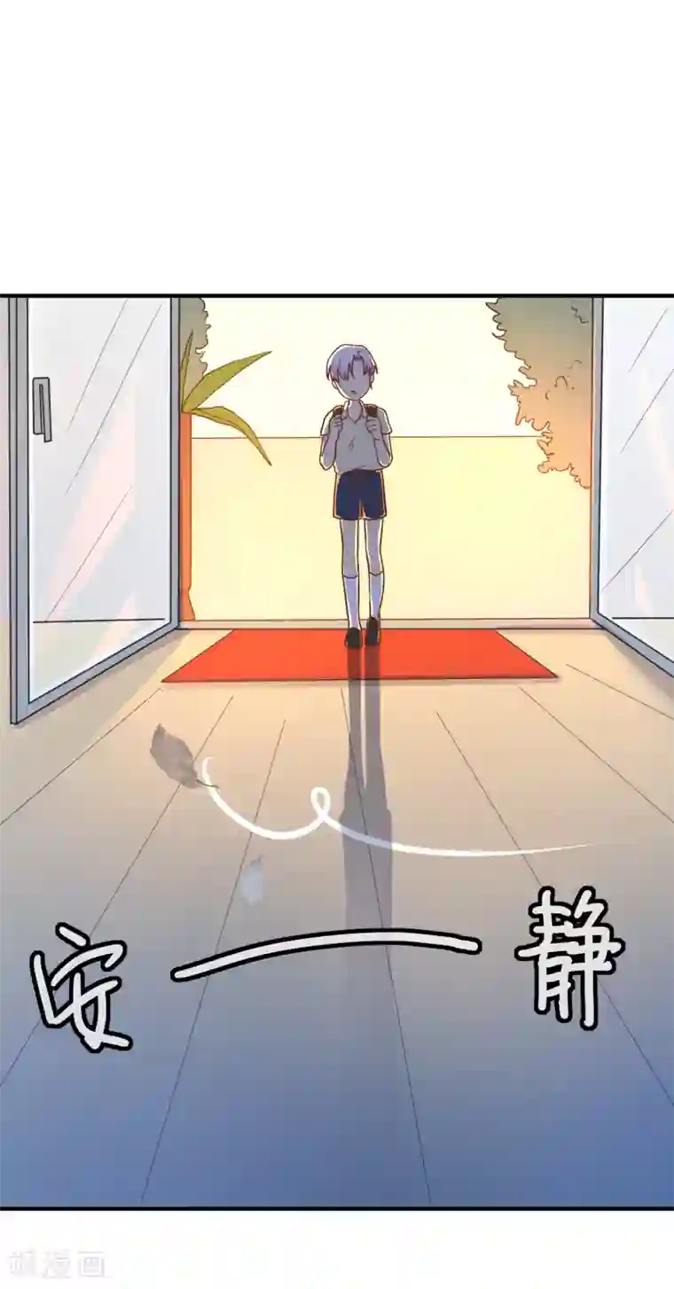 季总裁的偷心助理第25话 怎么会有人把狗狗安乐死！