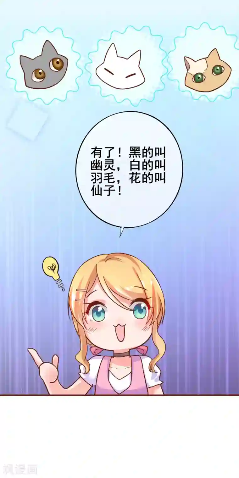 季总裁的偷心助理第25话 怎么会有人把狗狗安乐死！