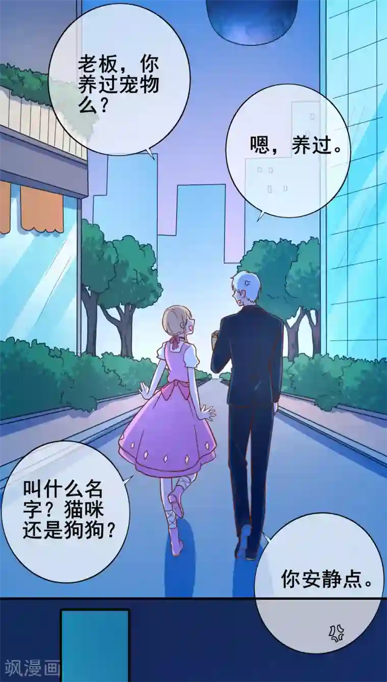 季总裁的偷心助理第25话 怎么会有人把狗狗安乐死！