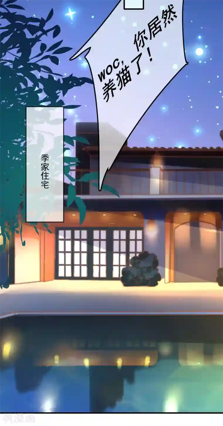 季总裁的偷心助理第25话 怎么会有人把狗狗安乐死！