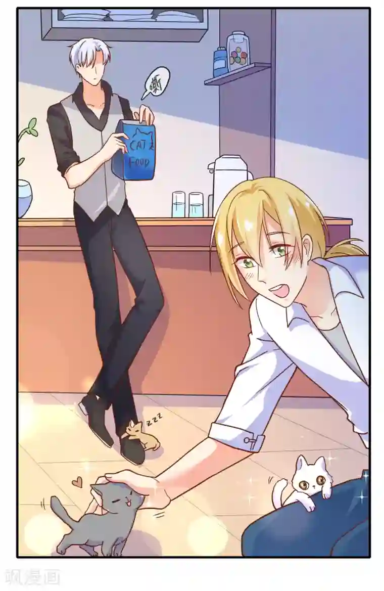 季总裁的偷心助理第25话 怎么会有人把狗狗安乐死！