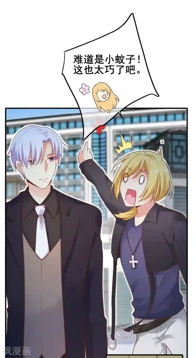 季总裁的偷心助理第38话 那一段天真浪漫的过往