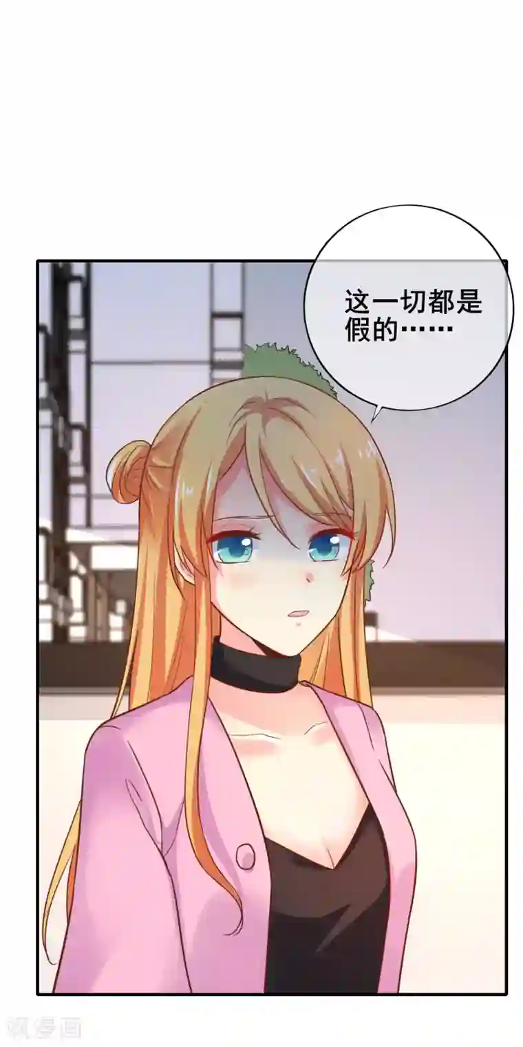 季总裁的偷心助理第47话 你还记得那几只猫么？