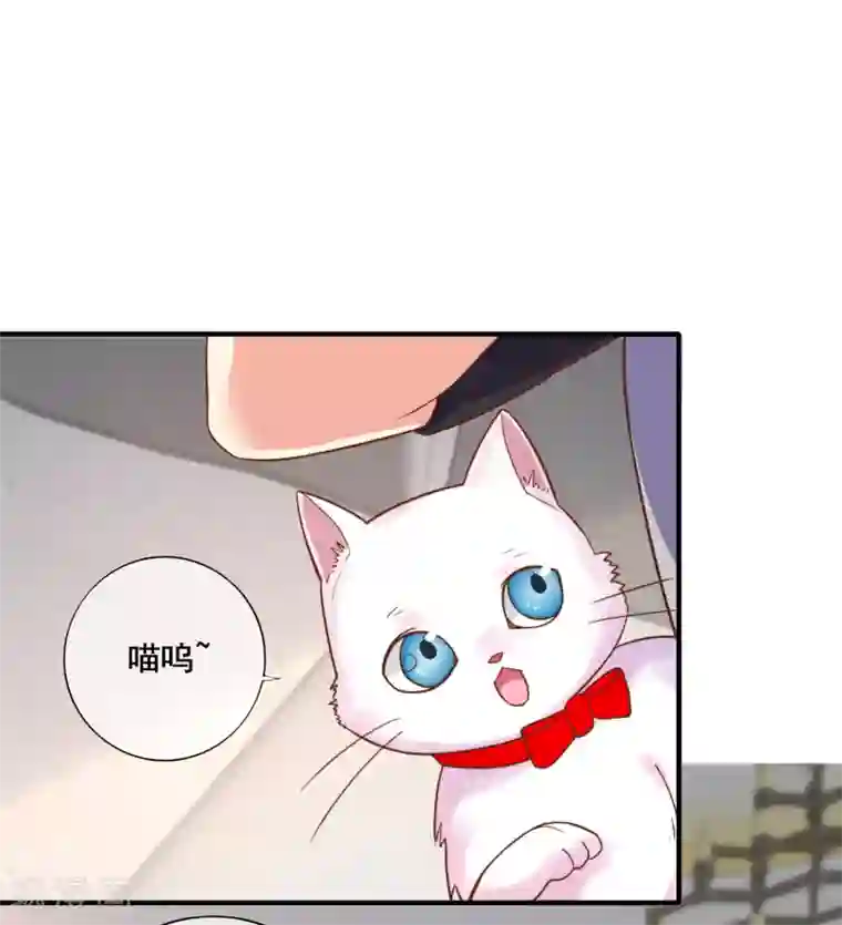 季总裁的偷心助理第48话 难道我是一个抖M？