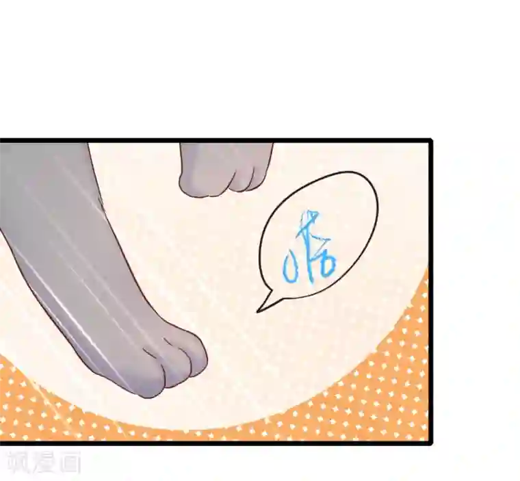 季总裁的偷心助理第49话 你先说