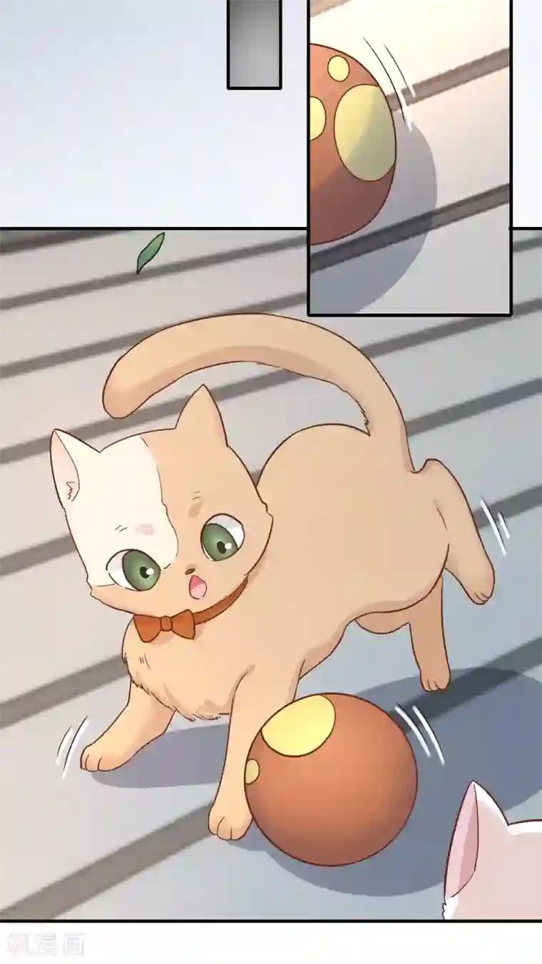 季总裁的偷心助理第50话 你愿意陪我去看樱花么？