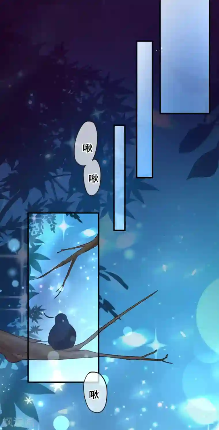 季总裁的偷心助理第62话 最美的风景，更美的你