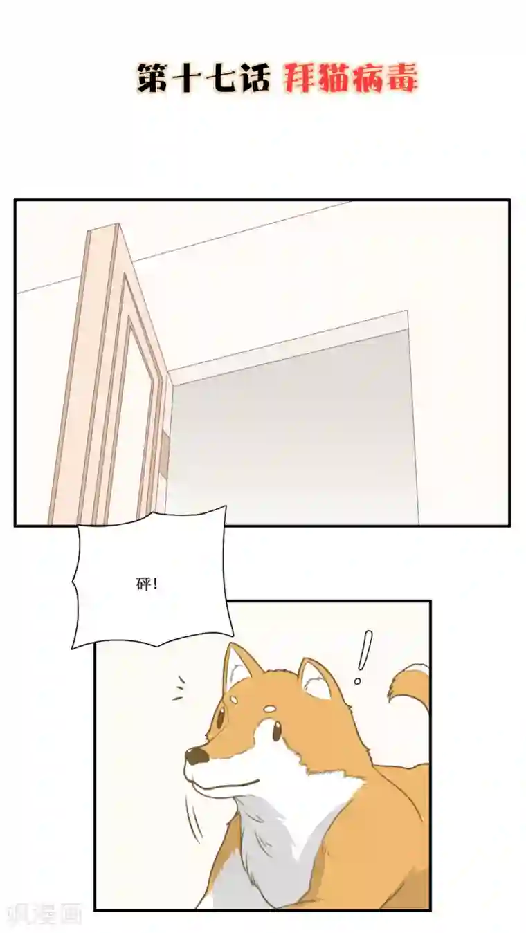 公主三十岁第17话 拜猫病毒