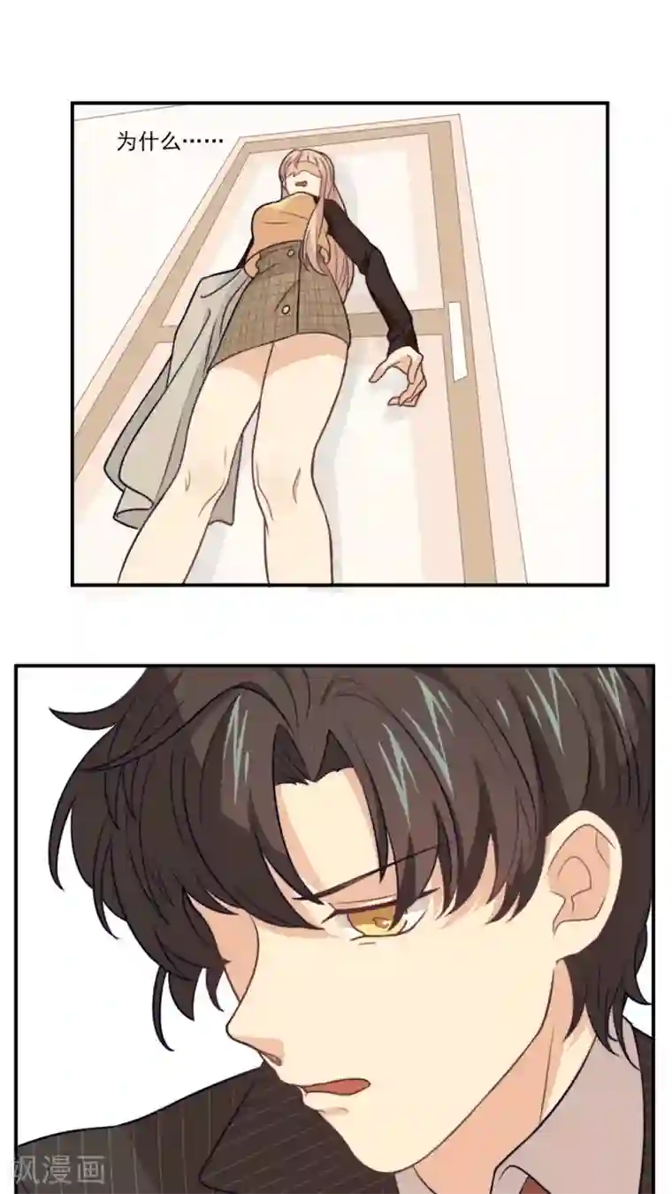 公主三十岁第17话 拜猫病毒