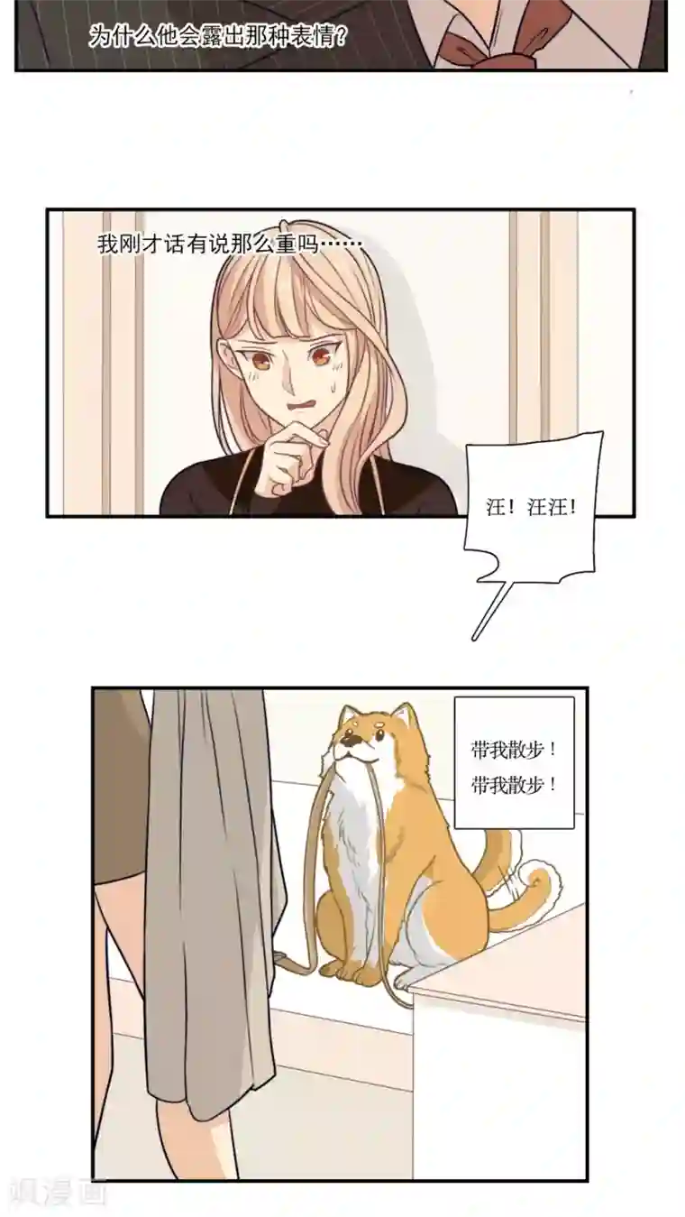 公主三十岁第17话 拜猫病毒