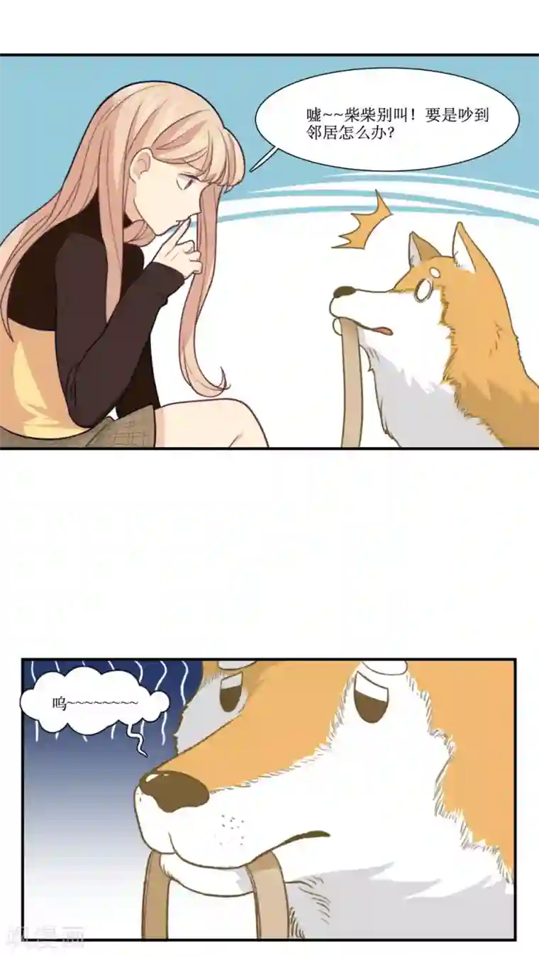 公主三十岁第17话 拜猫病毒