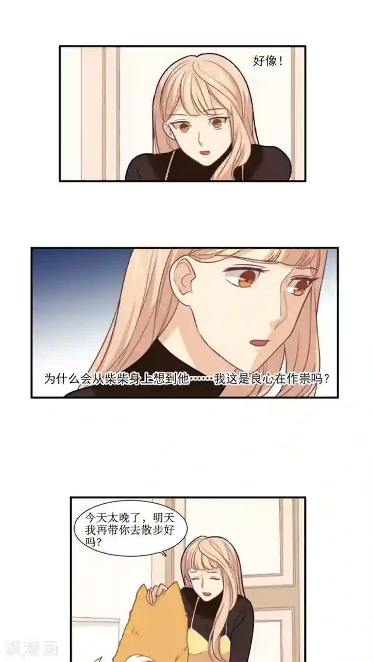 公主三十岁第17话 拜猫病毒