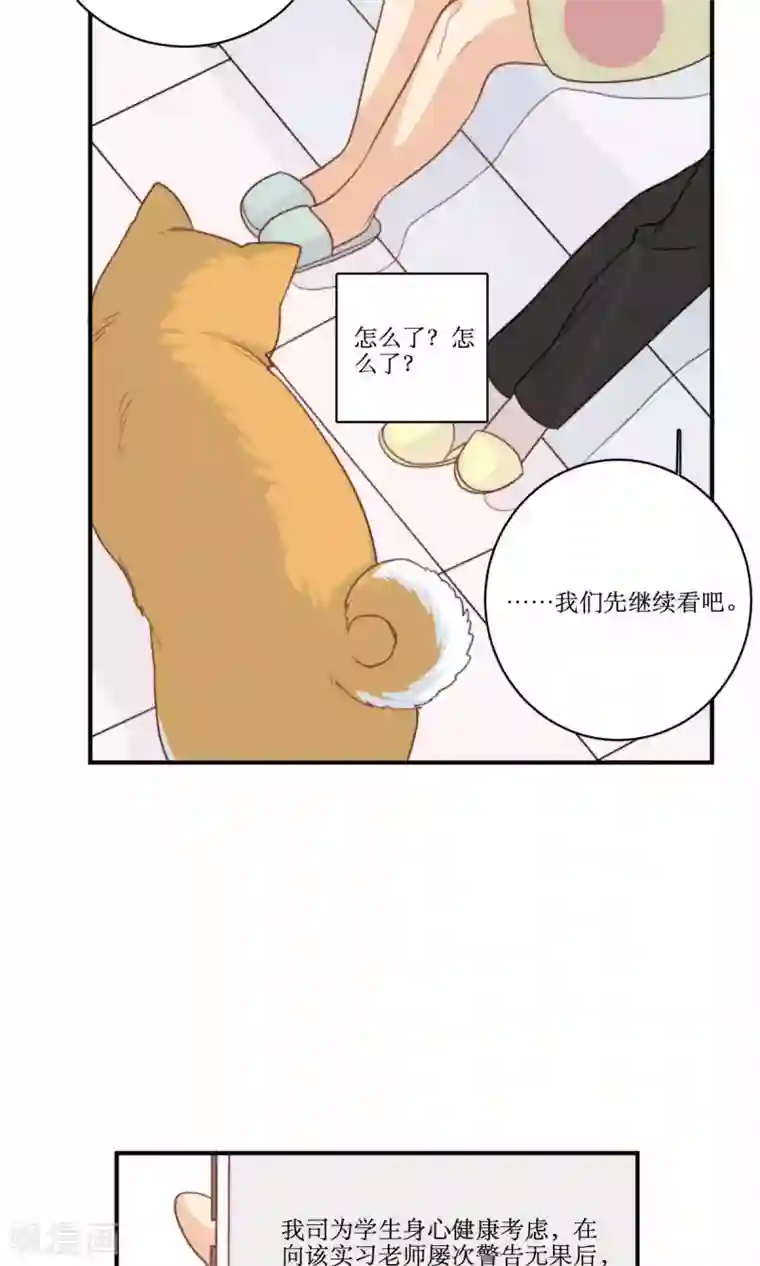 公主三十岁第62话 澄清公告