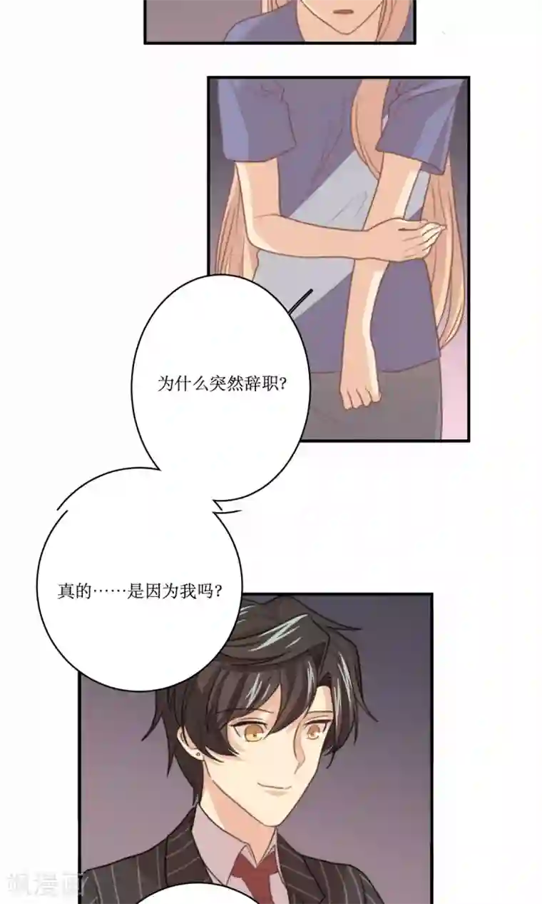 公主三十岁第67话 辞职的理由