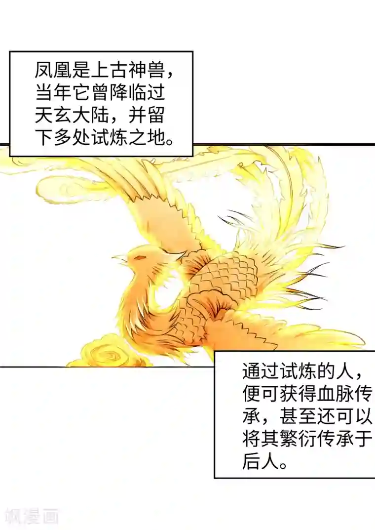 逆天邪神（条漫版）第94话 凤凰颂世典残卷1