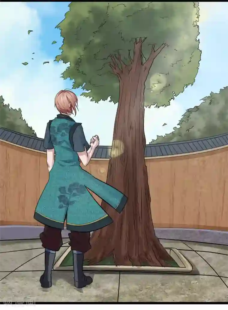 无敌剑神第1话 从天而降的是什么鬼？