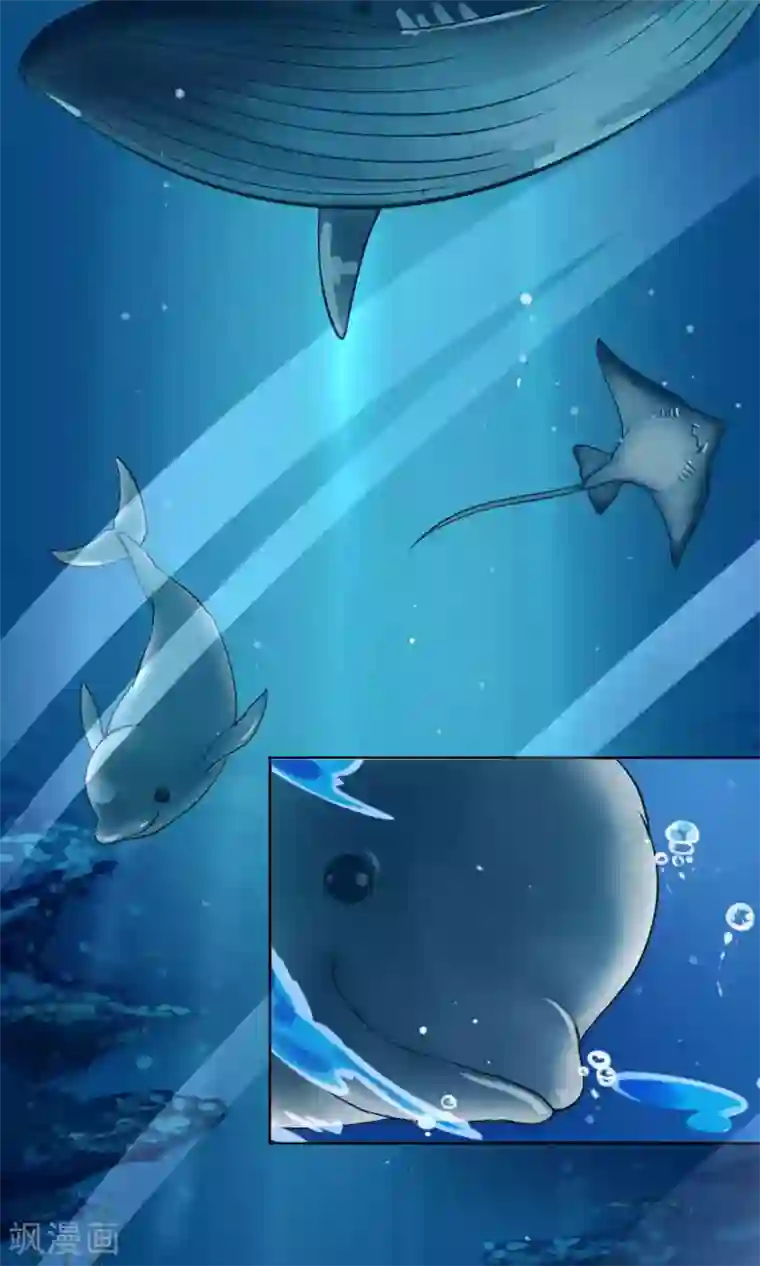 Go!海王子天团第1话2 初中生就别妄想当经纪人啊