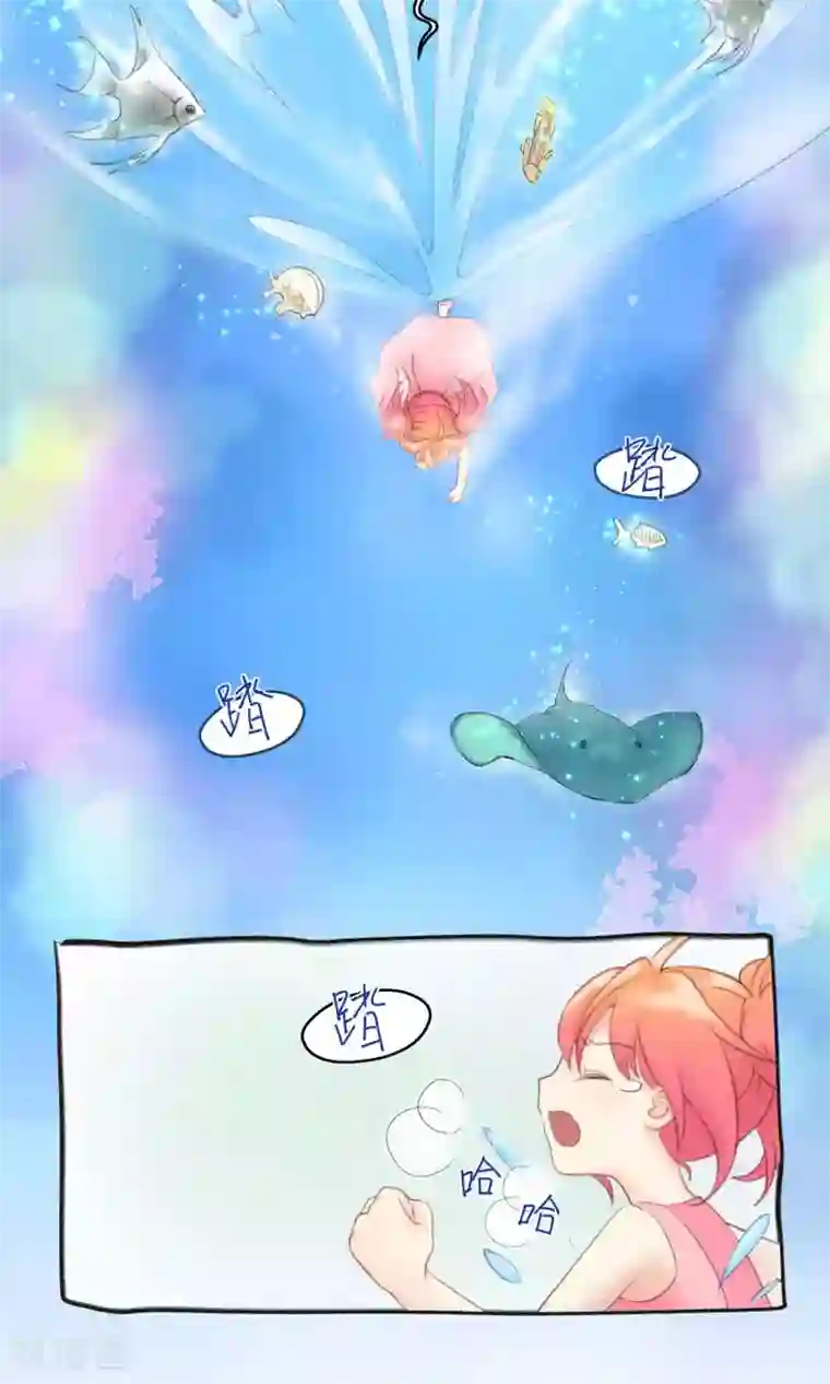 Go!海王子天团第2话 求偶求爱求关注