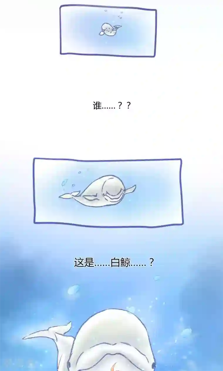 Go!海王子天团第2话 求偶求爱求关注