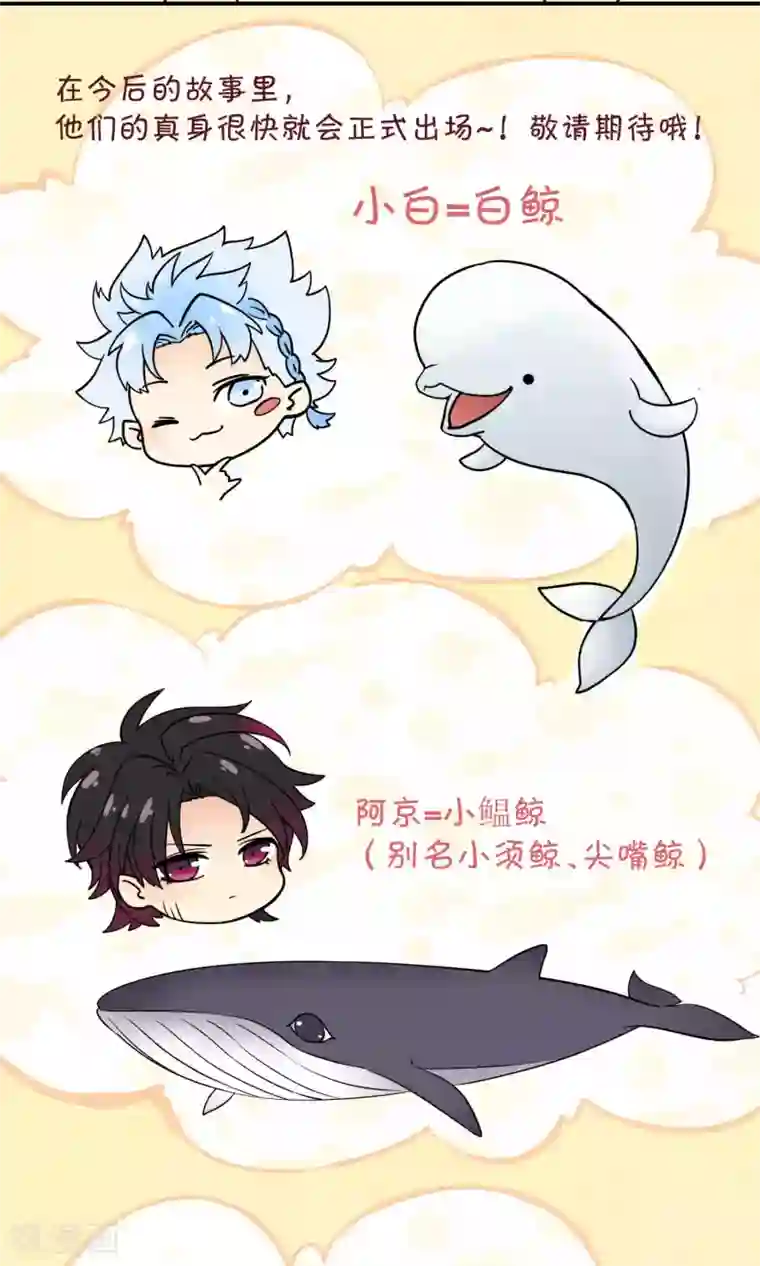 Go!海王子天团第7话 之所以要拼尽全力的理由