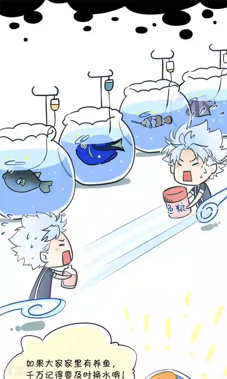 Go!海王子天团第7话 之所以要拼尽全力的理由