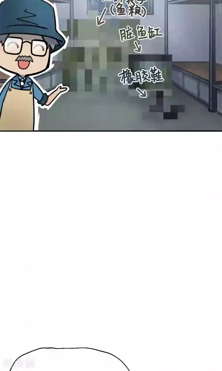 Go!海王子天团第10话1 月夜鬼船与白鲸