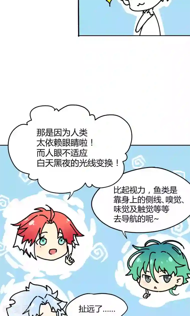 Go!海王子天团第12话 真正的宫殿