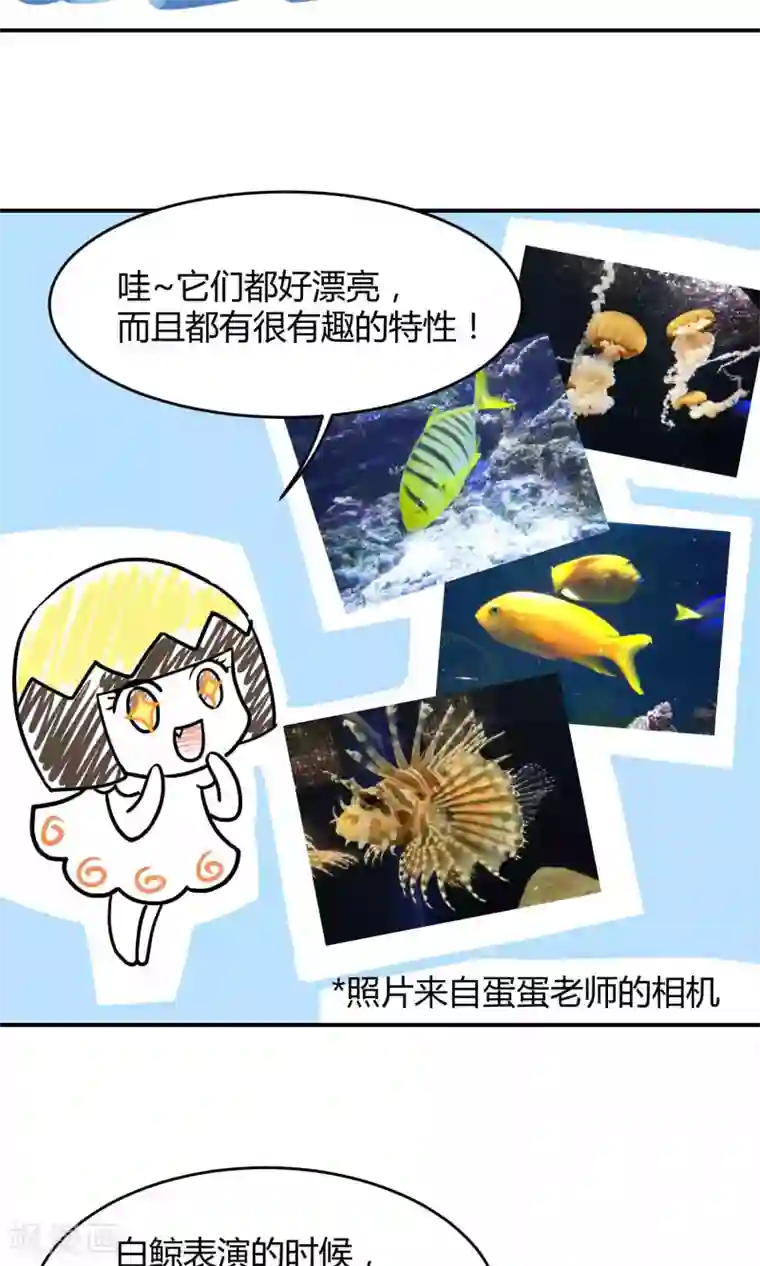 Go!海王子天团第14话 无可逃脱的陆地生活