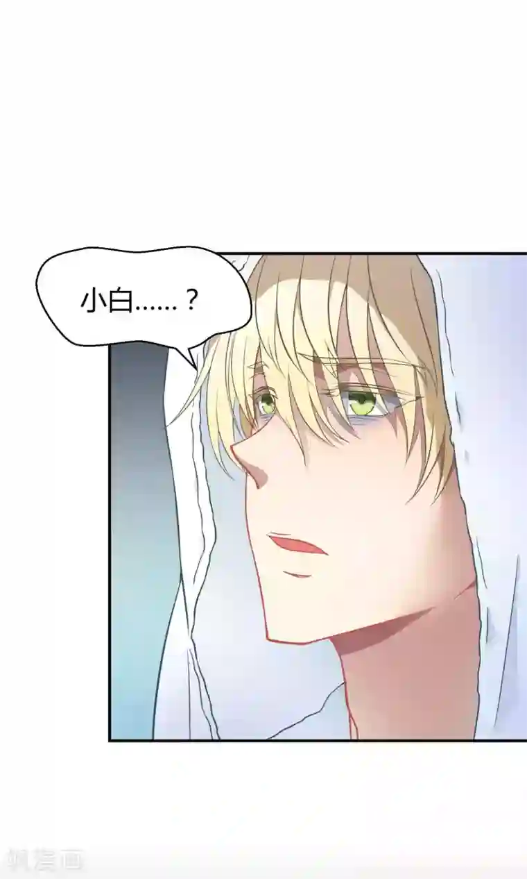 Go!海王子天团第34话2 白鲸救人
