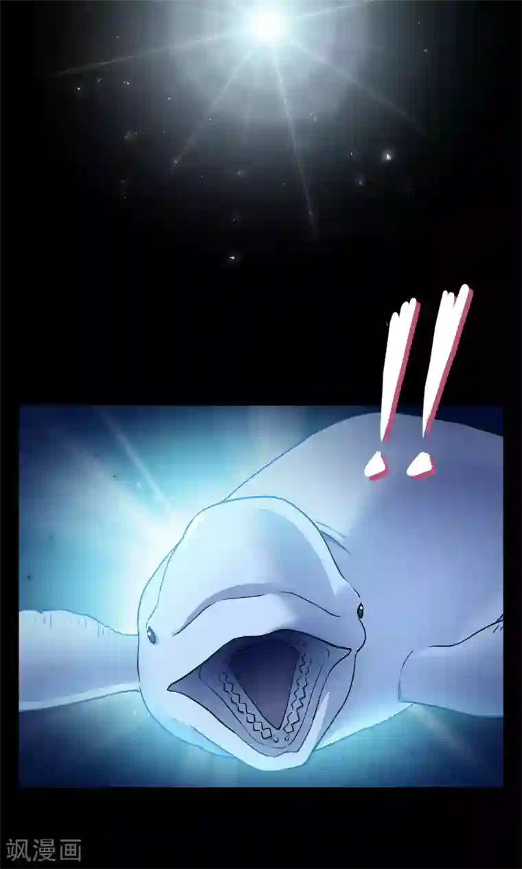 Go!海王子天团第37话 逐渐接近的真相
