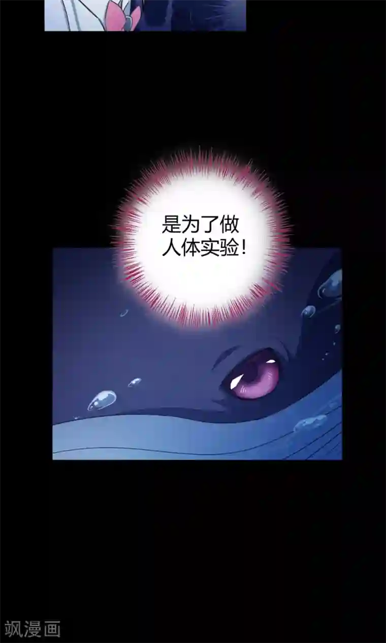 Go!海王子天团第40话 海王子的真相