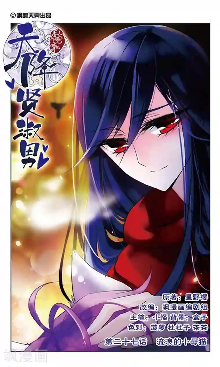 天降贤淑男第27话 流浪的小母猫